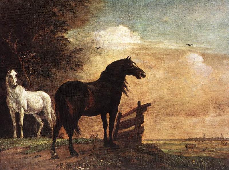 POTTER, Paulus Horses in a Field zg oil painting image